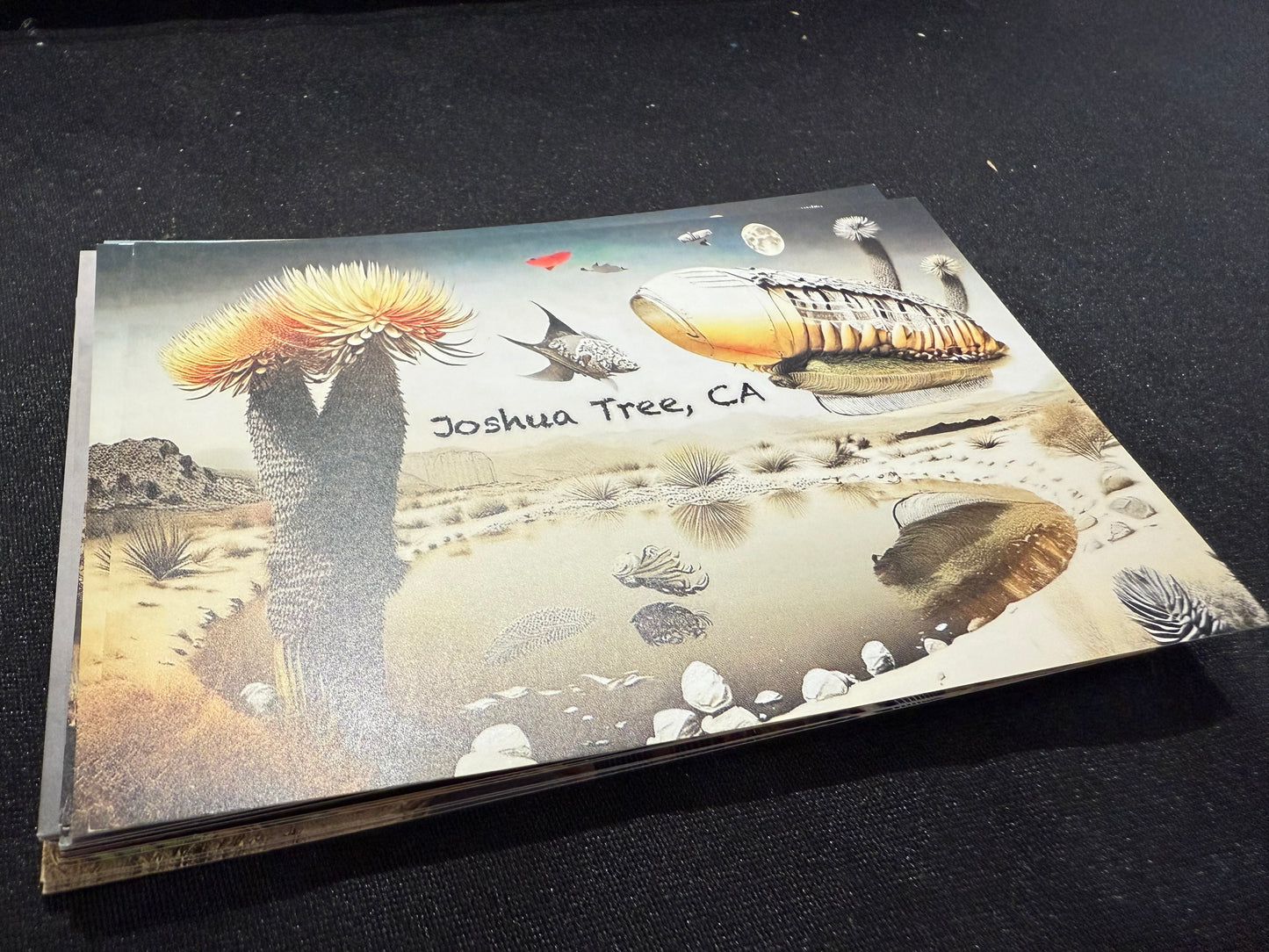 WHOLESALE POSTCARDS | FLOATING DESERT SHIPS | 25 POSTCARDS