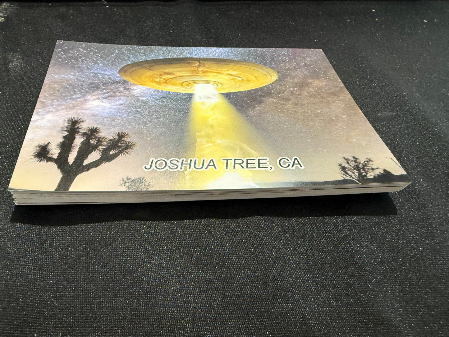 WHOLESALE POSTCARDS | GOLD SAUCER JOSHUA TREE | 25 POSTCARDS