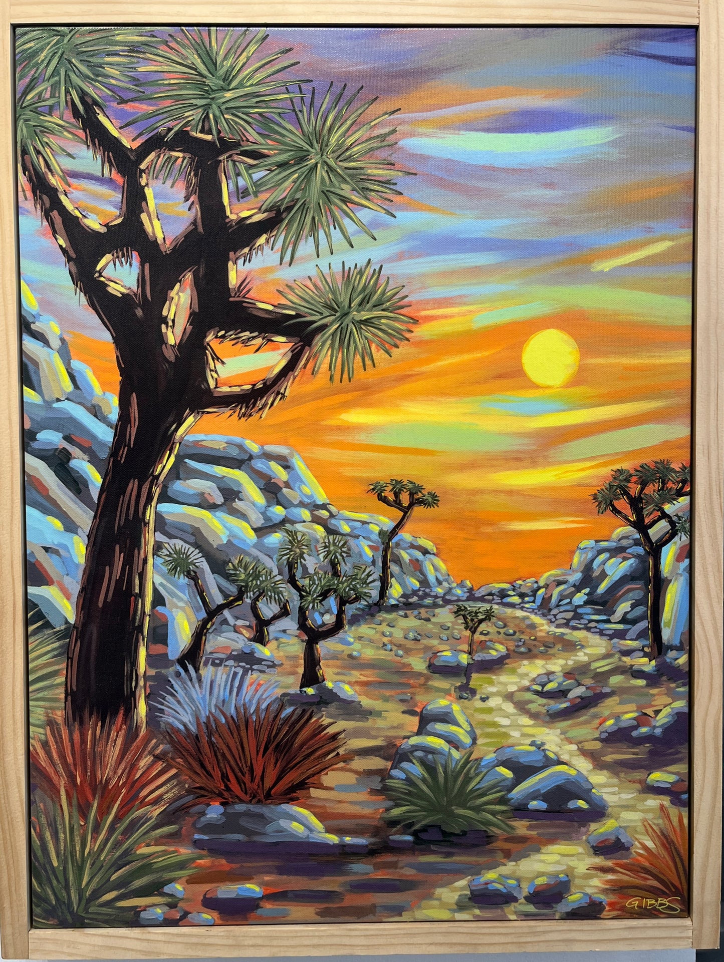 Joshua tree Park View