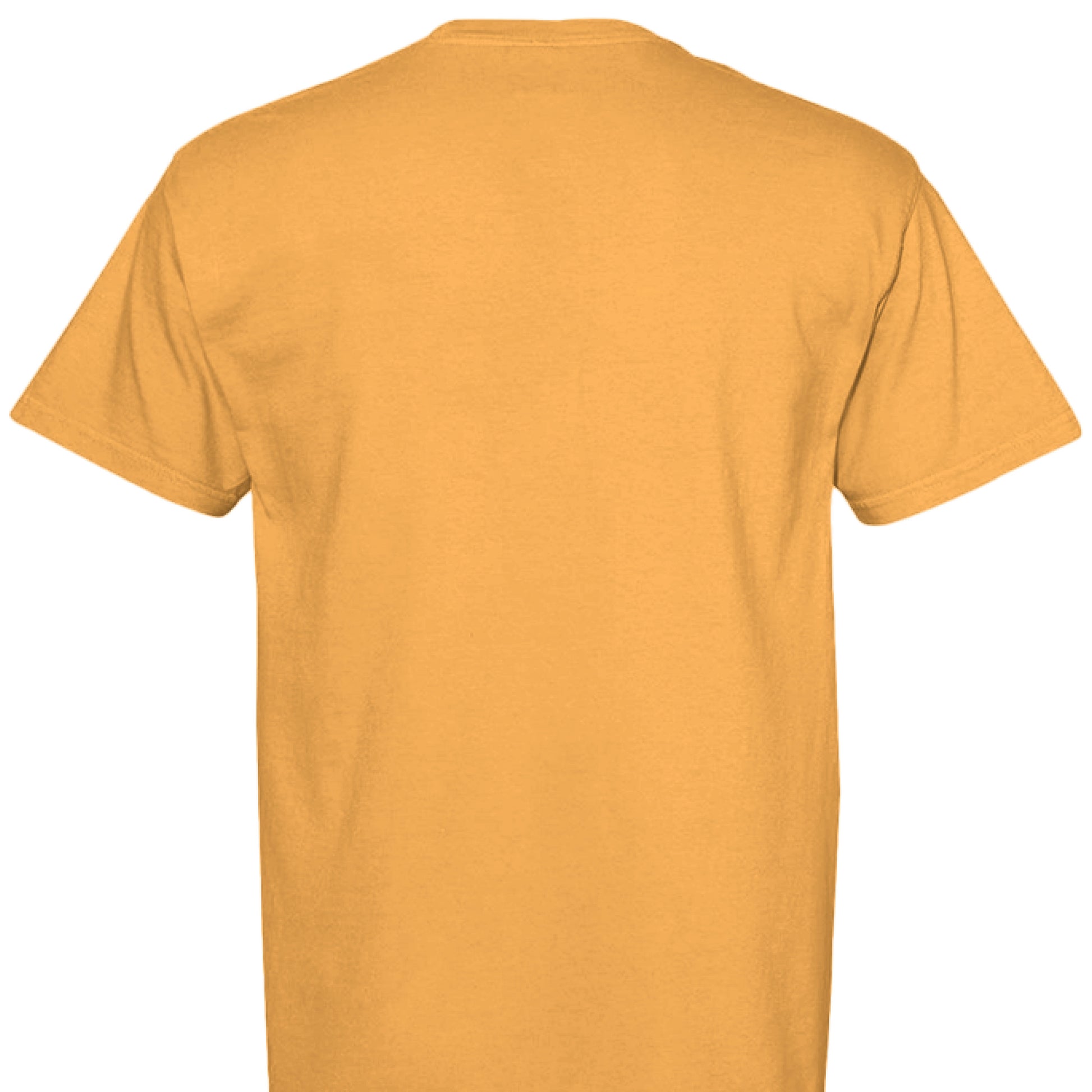 Bright Orange - BACK